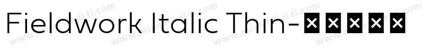 Fieldwork Italic Thin字体转换